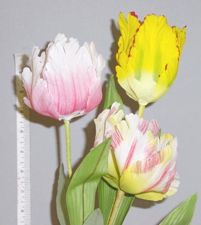 Parrot Tulip -- You'll need to feel it to tell they are not real