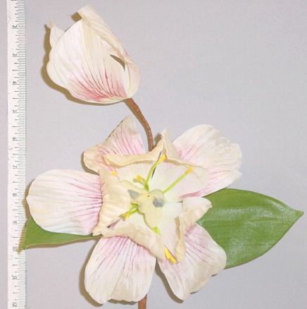 Magnolia -- fine European hand mades
