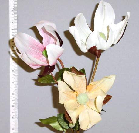 Magnolia -- fine European hand mades