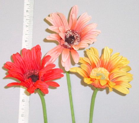 Silk Gerber Daisy   From Thailand