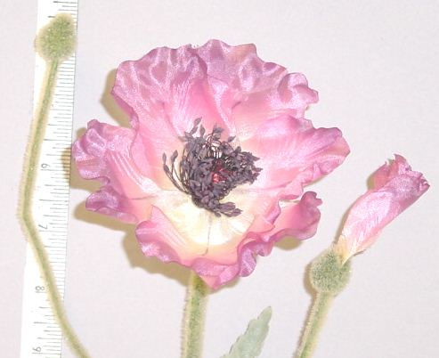 Silk Poppy with 2 buds  From Thailand