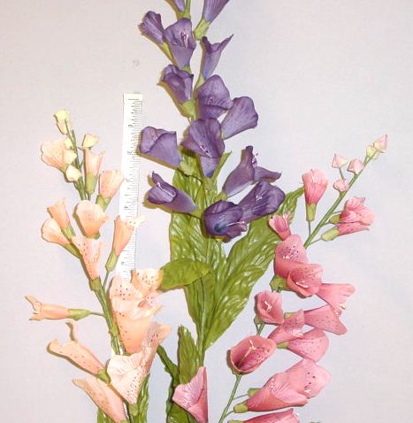 Foxglove