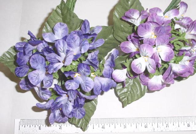 Violet Bunch