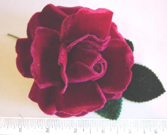 Velvet Rose