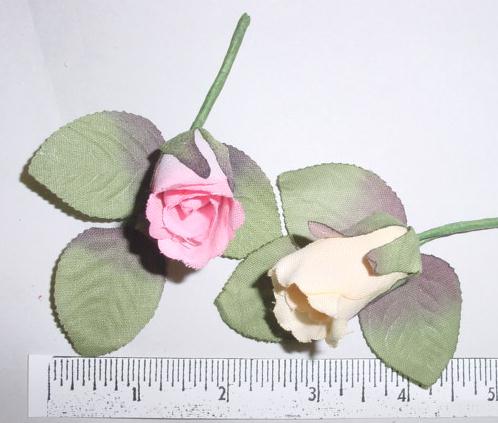 Cotton Rosebud