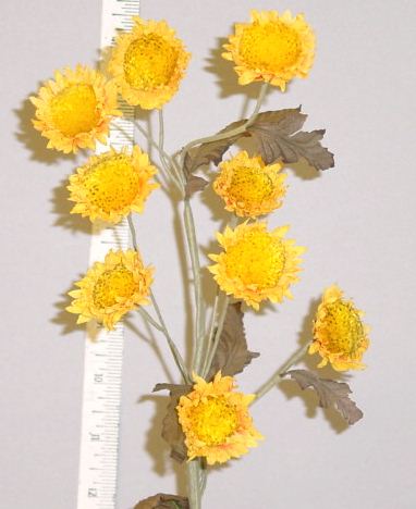 Mini Sunflower