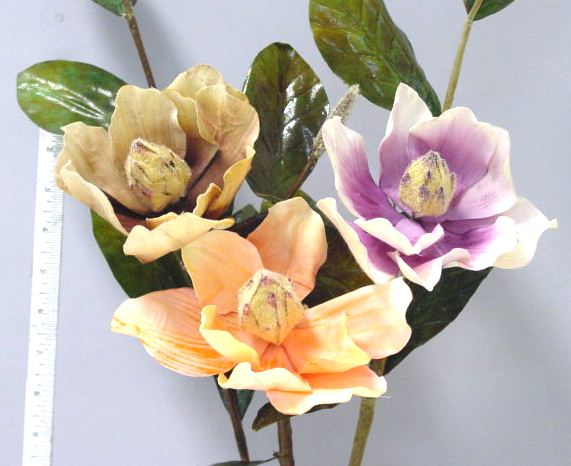 Magnolia with Bud and Leaves
