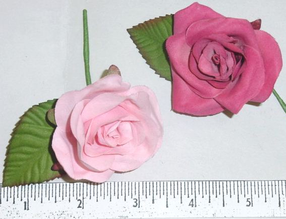 Micropeach Rose
