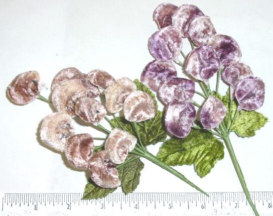 Velvet Raisins by 12 with 2 Leaves