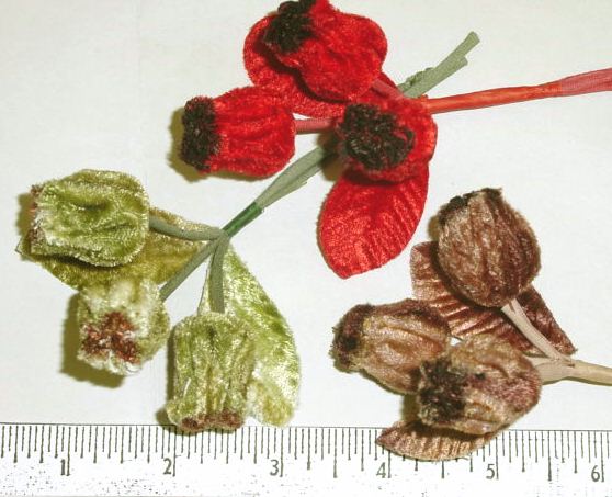 Velvet Nuts by 3 with Leaf