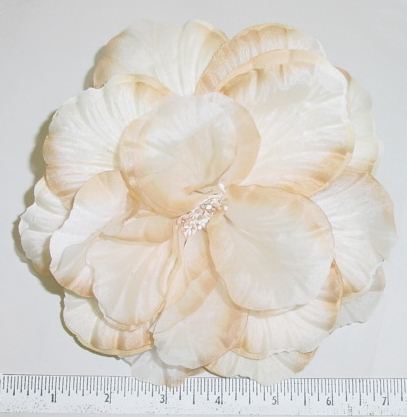 Large Double Petal Cabbage Rose