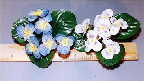 Pansy by 6 with 3 Leaves