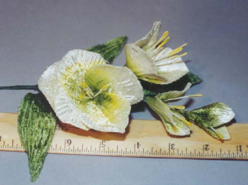 Blossom By 2 and 2 Buds