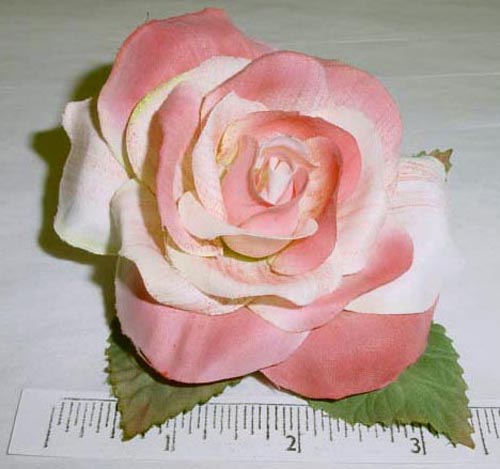 Medium High Count Rose
