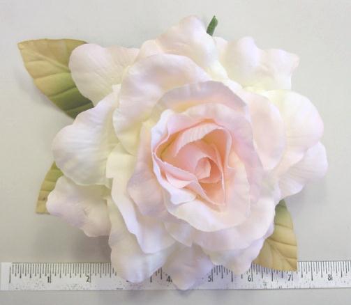 Large High Count Rose