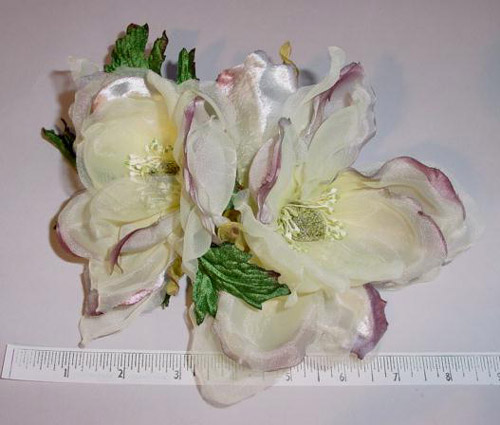 Twin Magnolia