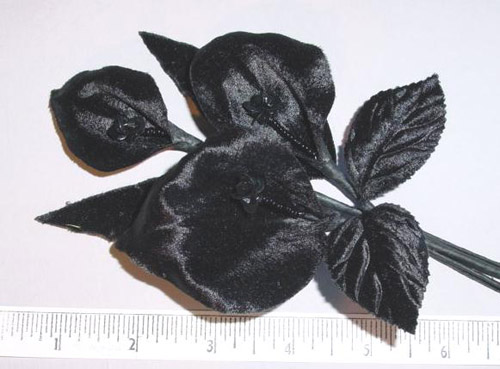 Velvet Calla Lily