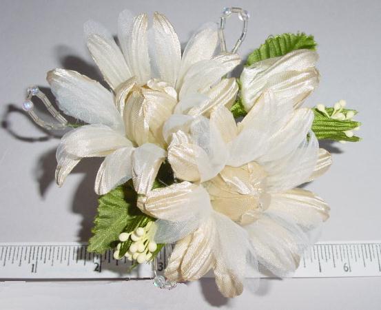 Daisy By 2 With Bud