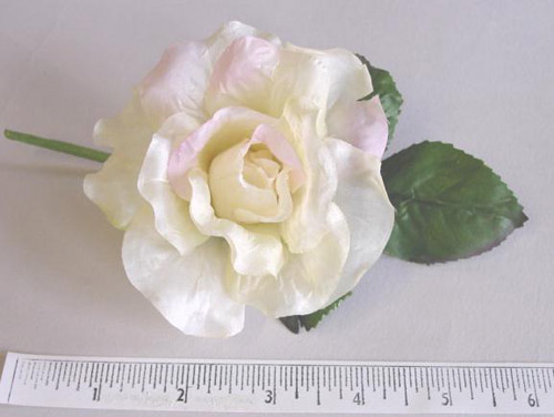 Satin Rose