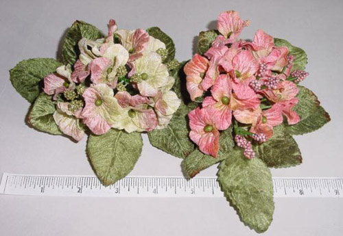 Velvet Primrose