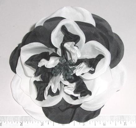 Two Color Rose