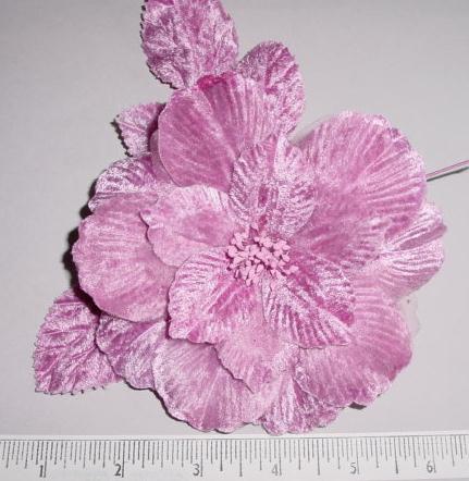 Velvet Blossom