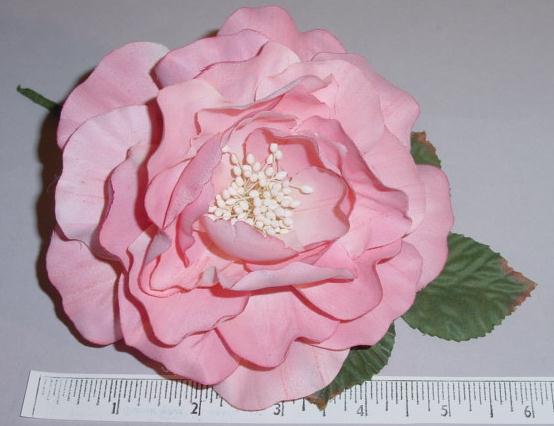 Wild Rose