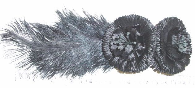 Two Blossoms with Feather