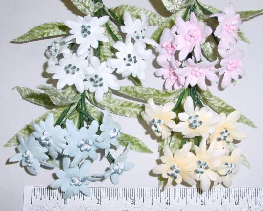 Edelweiss By 6 floral trim