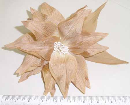 Double Petal Cactus Flower home d