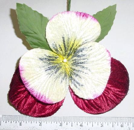 Giant Velvet Pansy gift industry