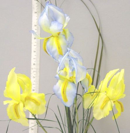 Iris By 2 & Grass  --natural looking German made
