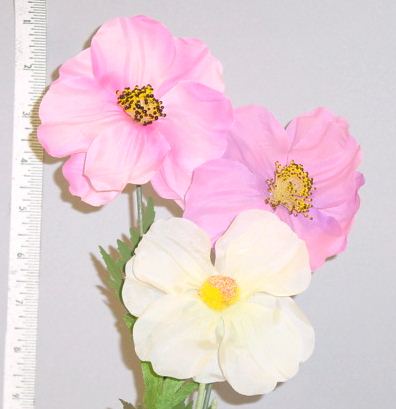 Large Cosmos German Made
