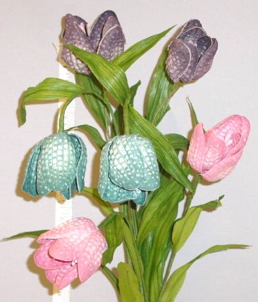 Fritillaria by 2 with double petals