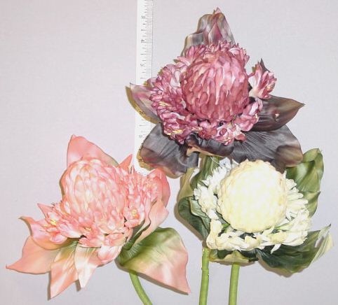 Large Silk Protea