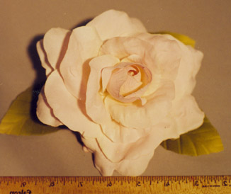 Large High Count Rose