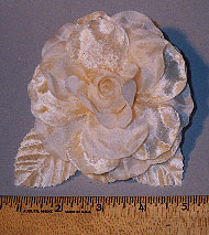 Open Silk & Velvet Rose