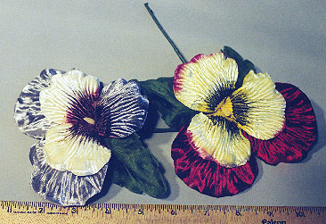 Giant Pansy