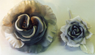 Crepe Rose